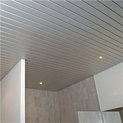 Soffitto con listelli metallici